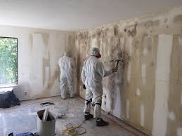 Best Post-Construction Mold Inspection  in Millsboro, DE